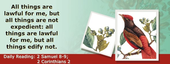 https://bibletruthpublishers.com/ComfortOfScriptures/wp-content/uploads/cos-hdg-2025-256.jpg