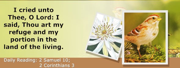 https://bibletruthpublishers.com/ComfortOfScriptures/wp-content/uploads/cos-hdg-2025-257.jpg