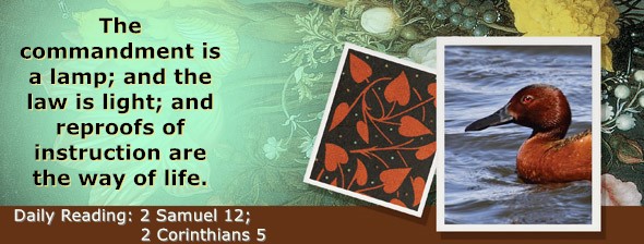 https://bibletruthpublishers.com/ComfortOfScriptures/wp-content/uploads/cos-hdg-2025-259.jpg
