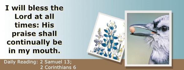 https://bibletruthpublishers.com/ComfortOfScriptures/wp-content/uploads/cos-hdg-2025-260.jpg