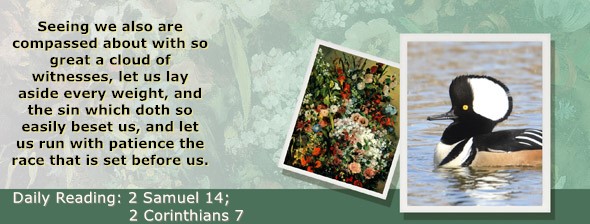 https://bibletruthpublishers.com/ComfortOfScriptures/wp-content/uploads/cos-hdg-2025-261.jpg