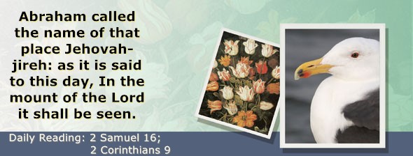 https://bibletruthpublishers.com/ComfortOfScriptures/wp-content/uploads/cos-hdg-2025-263.jpg