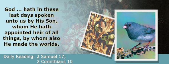 https://bibletruthpublishers.com/ComfortOfScriptures/wp-content/uploads/cos-hdg-2025-264.jpg