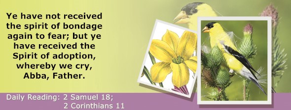 https://bibletruthpublishers.com/ComfortOfScriptures/wp-content/uploads/cos-hdg-2025-265.jpg