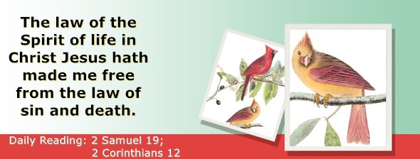 https://bibletruthpublishers.com/ComfortOfScriptures/wp-content/uploads/cos-hdg-2025-266.jpg