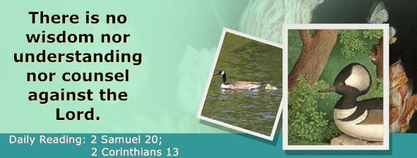 https://bibletruthpublishers.com/ComfortOfScriptures/wp-content/uploads/cos-hdg-2025-267.jpg