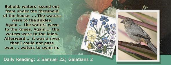 https://bibletruthpublishers.com/ComfortOfScriptures/wp-content/uploads/cos-hdg-2025-269.jpg