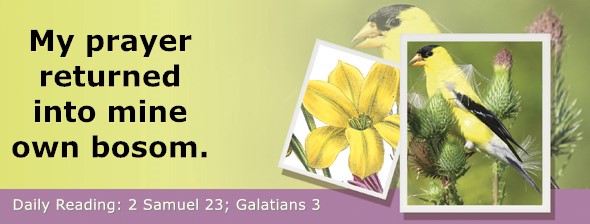 https://bibletruthpublishers.com/ComfortOfScriptures/wp-content/uploads/cos-hdg-2025-270.jpg