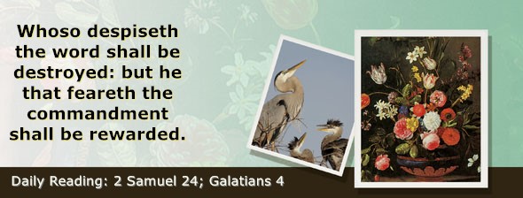https://bibletruthpublishers.com/ComfortOfScriptures/wp-content/uploads/cos-hdg-2025-271.jpg