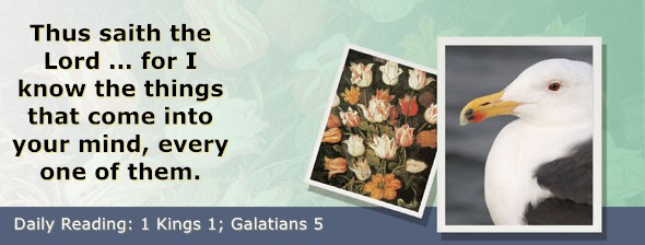 https://bibletruthpublishers.com/ComfortOfScriptures/wp-content/uploads/cos-hdg-2025-272.jpg