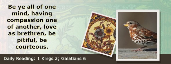 https://bibletruthpublishers.com/ComfortOfScriptures/wp-content/uploads/cos-hdg-2025-273.jpg