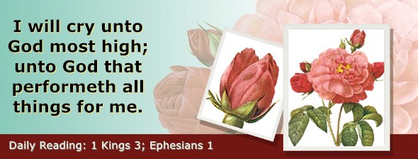 https://bibletruthpublishers.com/ComfortOfScriptures/wp-content/uploads/cos-hdg-2025-274.jpg
