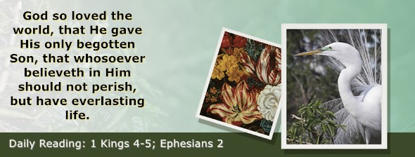 https://bibletruthpublishers.com/ComfortOfScriptures/wp-content/uploads/cos-hdg-2025-275.jpg