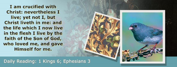 https://bibletruthpublishers.com/ComfortOfScriptures/wp-content/uploads/cos-hdg-2025-276.jpg