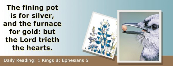 https://bibletruthpublishers.com/ComfortOfScriptures/wp-content/uploads/cos-hdg-2025-278.jpg