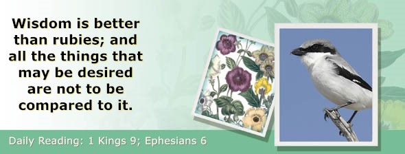https://bibletruthpublishers.com/ComfortOfScriptures/wp-content/uploads/cos-hdg-2025-279.jpg