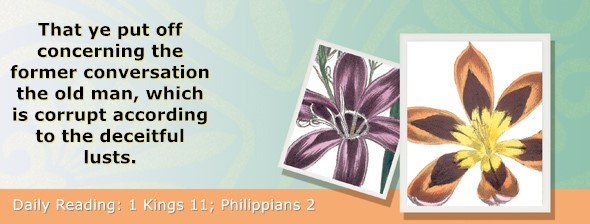 https://bibletruthpublishers.com/ComfortOfScriptures/wp-content/uploads/cos-hdg-2025-281.jpg