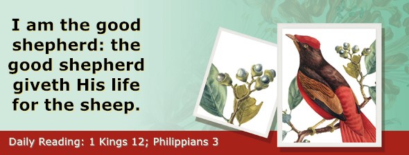 https://bibletruthpublishers.com/ComfortOfScriptures/wp-content/uploads/cos-hdg-2025-282.jpg