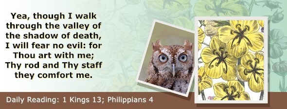https://bibletruthpublishers.com/ComfortOfScriptures/wp-content/uploads/cos-hdg-2025-283.jpg