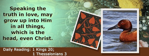 https://bibletruthpublishers.com/ComfortOfScriptures/wp-content/uploads/cos-hdg-2025-290.jpg