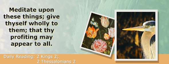 https://bibletruthpublishers.com/ComfortOfScriptures/wp-content/uploads/cos-hdg-2025-294.jpg