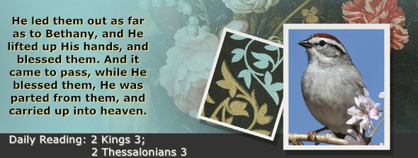 https://bibletruthpublishers.com/ComfortOfScriptures/wp-content/uploads/cos-hdg-2025-295.jpg