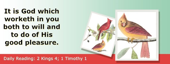 https://bibletruthpublishers.com/ComfortOfScriptures/wp-content/uploads/cos-hdg-2025-296.jpg