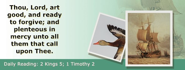 https://bibletruthpublishers.com/ComfortOfScriptures/wp-content/uploads/cos-hdg-2025-297.jpg