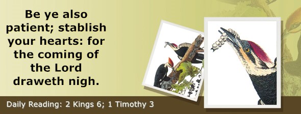 https://bibletruthpublishers.com/ComfortOfScriptures/wp-content/uploads/cos-hdg-2025-298.jpg