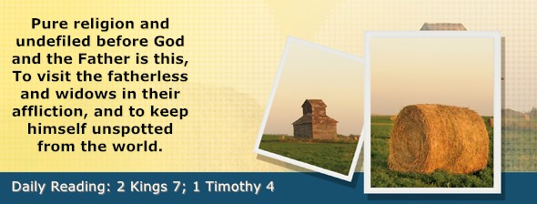 https://bibletruthpublishers.com/ComfortOfScriptures/wp-content/uploads/cos-hdg-2025-299.jpg