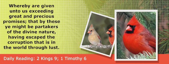 https://bibletruthpublishers.com/ComfortOfScriptures/wp-content/uploads/cos-hdg-2025-301.jpg