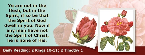 https://bibletruthpublishers.com/ComfortOfScriptures/wp-content/uploads/cos-hdg-2025-302.jpg