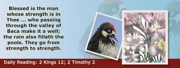https://bibletruthpublishers.com/ComfortOfScriptures/wp-content/uploads/cos-hdg-2025-303.jpg