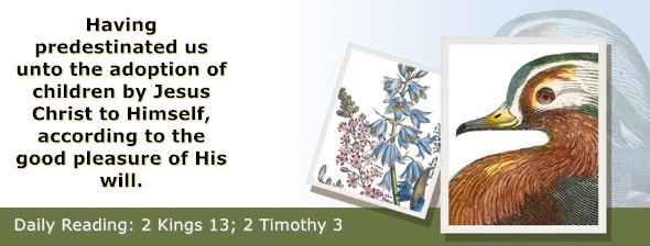 https://bibletruthpublishers.com/ComfortOfScriptures/wp-content/uploads/cos-hdg-2025-304.jpg