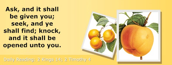 https://bibletruthpublishers.com/ComfortOfScriptures/wp-content/uploads/cos-hdg-2025-305.jpg