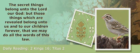 https://bibletruthpublishers.com/ComfortOfScriptures/wp-content/uploads/cos-hdg-2025-307.jpg