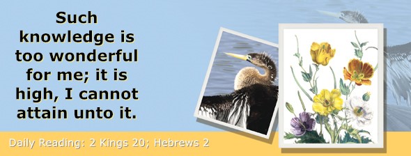 https://bibletruthpublishers.com/ComfortOfScriptures/wp-content/uploads/cos-hdg-2025-311.jpg