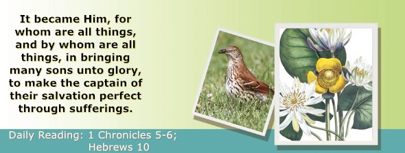 https://bibletruthpublishers.com/ComfortOfScriptures/wp-content/uploads/cos-hdg-2025-319.jpg