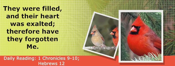 https://bibletruthpublishers.com/ComfortOfScriptures/wp-content/uploads/cos-hdg-2025-321.jpg