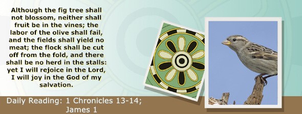 https://bibletruthpublishers.com/ComfortOfScriptures/wp-content/uploads/cos-hdg-2025-323.jpg