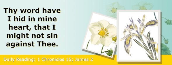 https://bibletruthpublishers.com/ComfortOfScriptures/wp-content/uploads/cos-hdg-2025-324.jpg