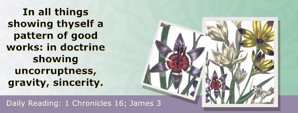 https://bibletruthpublishers.com/ComfortOfScriptures/wp-content/uploads/cos-hdg-2025-325.jpg
