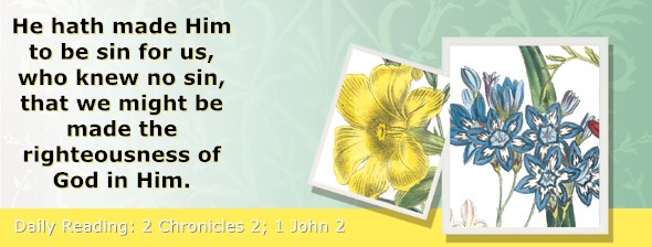 https://bibletruthpublishers.com/ComfortOfScriptures/wp-content/uploads/cos-hdg-2025-337.jpg