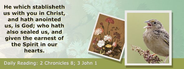 https://bibletruthpublishers.com/ComfortOfScriptures/wp-content/uploads/cos-hdg-2025-342.jpg