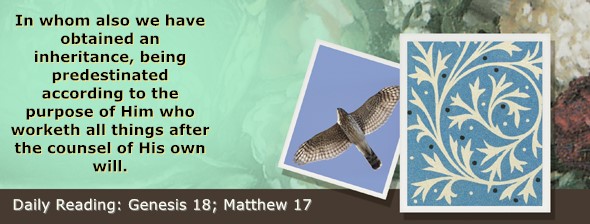 https://bibletruthpublishers.com/ComfortOfScriptures/wp-content/uploads/cos-hdg-2026-017.jpg