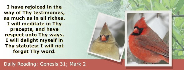 https://bibletruthpublishers.com/ComfortOfScriptures/wp-content/uploads/cos-hdg-2026-030.jpg