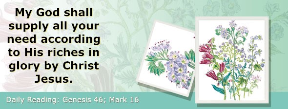 https://bibletruthpublishers.com/ComfortOfScriptures/wp-content/uploads/cos-hdg-2026-044.jpg