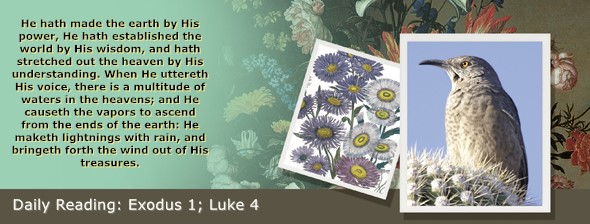 https://bibletruthpublishers.com/ComfortOfScriptures/wp-content/uploads/cos-hdg-2026-049.jpg