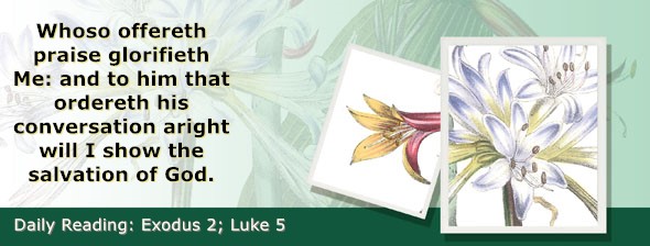 https://bibletruthpublishers.com/ComfortOfScriptures/wp-content/uploads/cos-hdg-2026-050.jpg