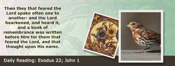 https://bibletruthpublishers.com/ComfortOfScriptures/wp-content/uploads/cos-hdg-2026-070.jpg